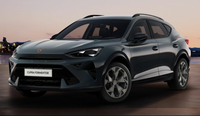 
								Cupra FORMENTOR 2.0 TDI DSG full									