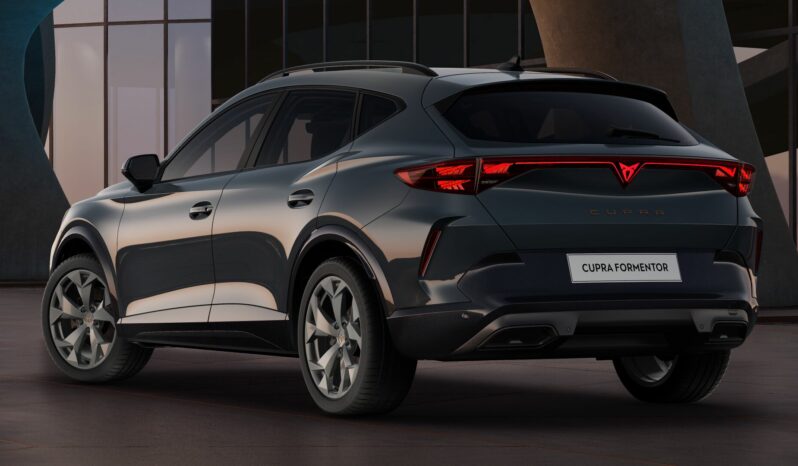 
								Cupra FORMENTOR 2.0 TDI DSG full									
