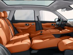 Leapmotor C10 STYLE REEV
