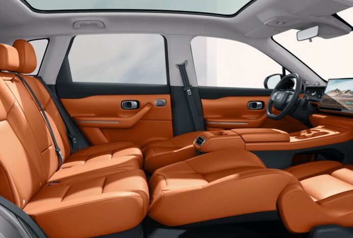 
								Leapmotor C10 STYLE REEV full									